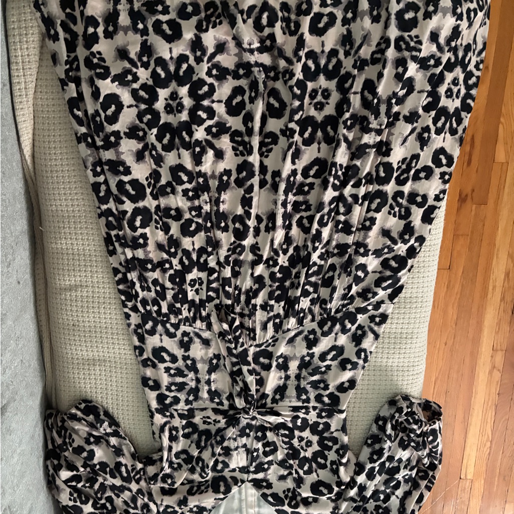Rebecca Taylor Gorgeous Dress
